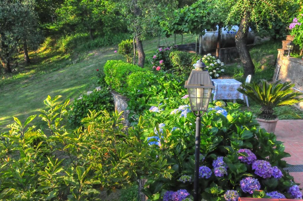 Villa Olivi Giampierone Bagian luar foto